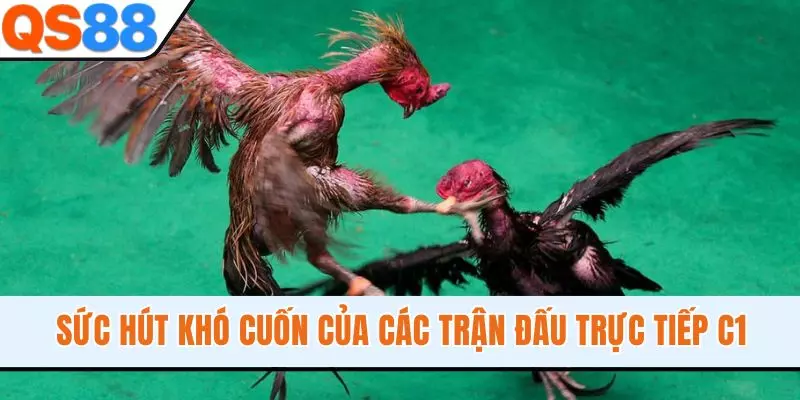 Sức hút khó cuốn của các trận đấu trực tiếp C1